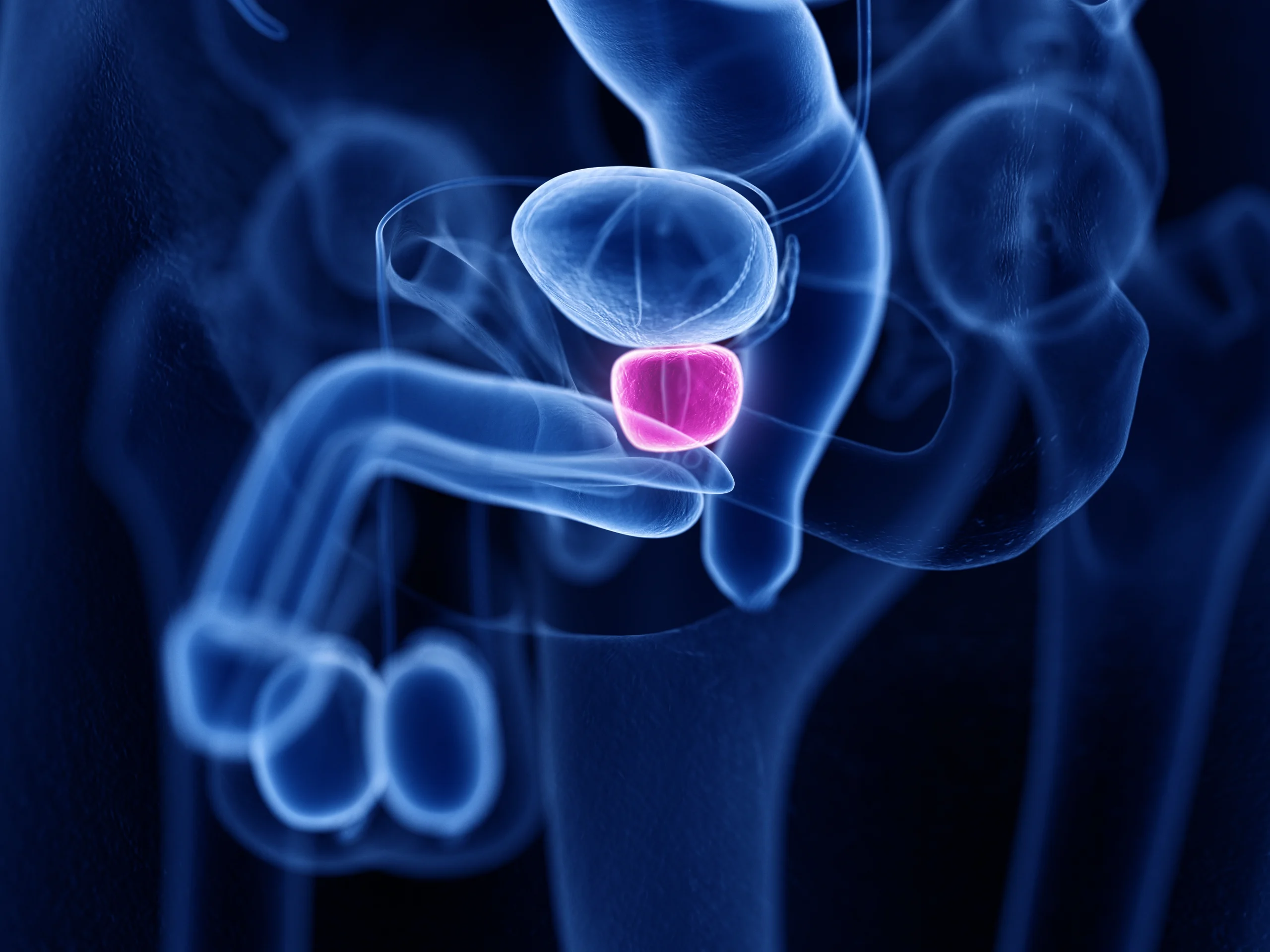 prostate health